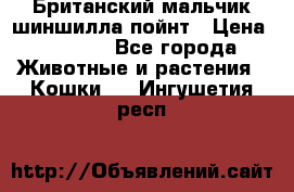 Британский мальчик шиншилла-пойнт › Цена ­ 5 000 - Все города Животные и растения » Кошки   . Ингушетия респ.